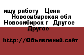 ищу работу › Цена ­ 40 000 - Новосибирская обл., Новосибирск г. Другое » Другое   